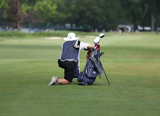 Caddies