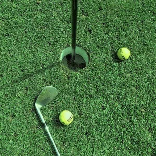 High Handicappers and Caddies